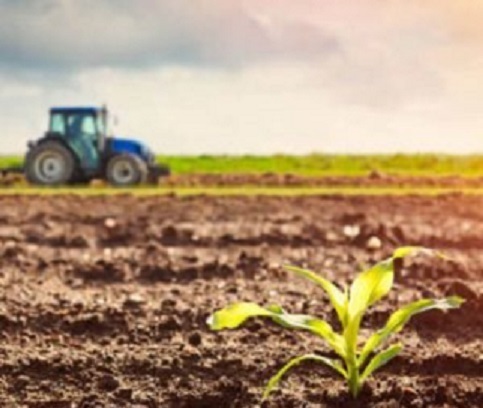 Global Agriculture Microbials Market